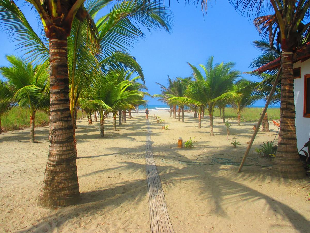 קנואה Beach Front Bungalows At The Coconut מראה חיצוני תמונה